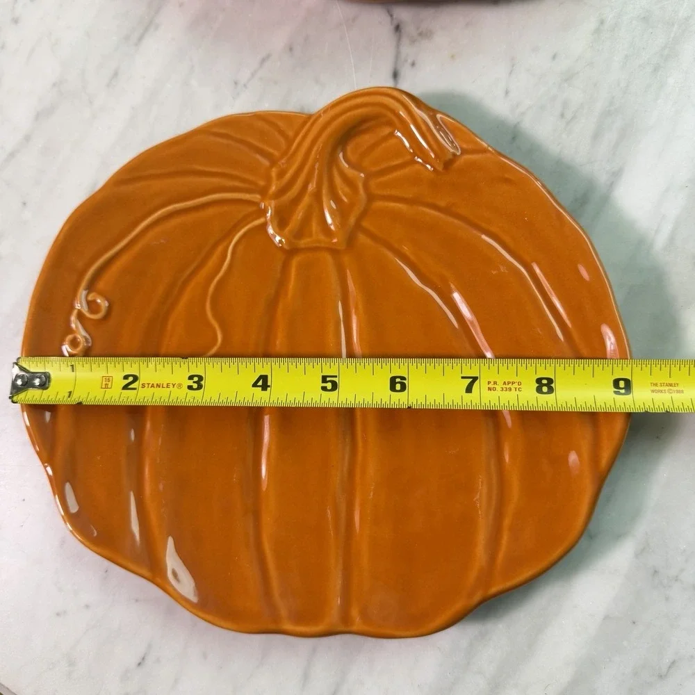 Pottery Barn Retired Rustic Pumpkin 9